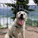 Oakley Rose Logan - @oakleyrose3 - Instagram