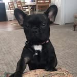Oakley Rose Maier - @oakley.the.incredible - Instagram