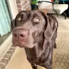 Oakley Rowe - @oakleyrowegsp - TikTok