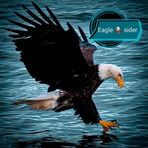 Eagle Sider - Facebook