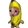 °_° - @stanley.oakley - TikTok