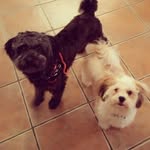 OAKLEY & STANLEY - @oakleyandstanley - Instagram