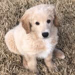 OAKLEY STONE - @that_dood_oakleyy - Instagram