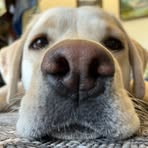 Oakley Strong - Facebook