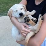 oakley vance - @oakleyvance_ - Instagram