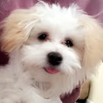 Oakley Wade David - @oakley_wade4 - Instagram