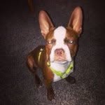 Oakley Wallace - @oakleywallace - Instagram