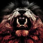 oakley wallace - @oakwood553 - Instagram