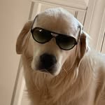 Oakley - @oakley_weeks_ - Instagram