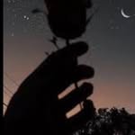 Oakley west - @oakleywest65 - Instagram