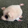 Pig123 - @oakleywest - TikTok