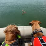 OAKLEY & WHEELER - @oakley_and_wheeler - Instagram