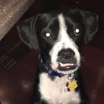 Oakley Boy - @_oakleywheeler - Instagram