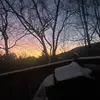 🌀 - @oakleywolfee - TikTok