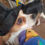 Oakley Wright - Facebook