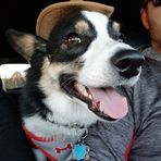 Oakley Wright - Facebook