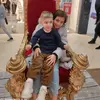 Oanadavid - @daviddominik0208 - TikTok