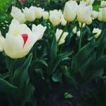 Oana Ivan - @oana.ivan2023 - Instagram