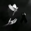 O𝖆𝖓𝖆_𝕾𝖙𝖊𝖋𝖋y♥️ـﮩ٨ـﮩﮩـ - @oanasteffy - TikTok