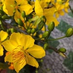 Oanh Vân - @oanhvan45 - Instagram