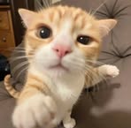 Oanh Vân - Facebook