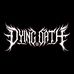 The Oath Keepers - Dying Oath fan club  - Facebook