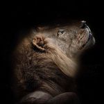 Obadiah Morris - @outtadis - Instagram