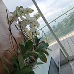 Obdulia Hernandez Juarez - @obduliahernandezjuarez - Instagram