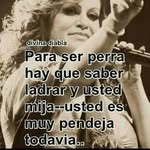 obdulia reyes - @obduliareye - Instagram