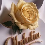 Obdulia Rivera - @obduliarivera48 - Instagram