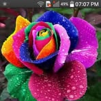 Obdulia Romero - Facebook