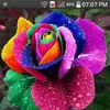 Obdulia Romero - @obdulia.romero60 - TikTok