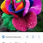 Obdulia Romero - @obduliaromerochapul - Instagram