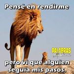 obdulio rinaldi rivera ixcoy - @obdulio.rivera - Instagram