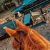 Obed Arroyo - @obed.arroyo - TikTok