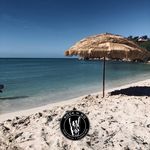 Obed Colon - @obedcolon - Instagram