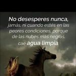 Obed Gamboa - @obedgamboa - Instagram