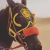 Obed Leyva - @she_luv_thesitter - TikTok