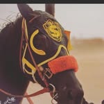 Obed Leyva - @drippin.obed - Instagram