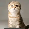 Rivas Obed369 - @rivasobed - TikTok