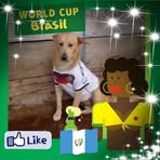 Obed Rojas - Facebook