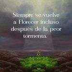 Obed Soto - @alexobedsoto - Instagram