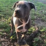 Obed Soto - @obed.soto.794 - Instagram