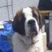 Obi Powell - Facebook