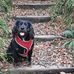 Obie Smith - Facebook