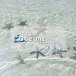 ░⃝ 🌊  o͡cean̠z ḣ̖̻͛̓ous̠e̠ - @oceanz.house - Instagram