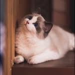 Ocean Zhou - @oceantoda - Instagram