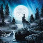 Doyle Doyle - @ocie.baker.5 - Instagram