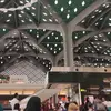 hallocie - @hallocie - TikTok