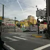logan - @oc.logan - TikTok